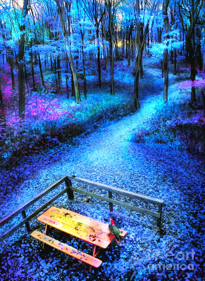 Picnic in the woods Digital Art by Gina Signore