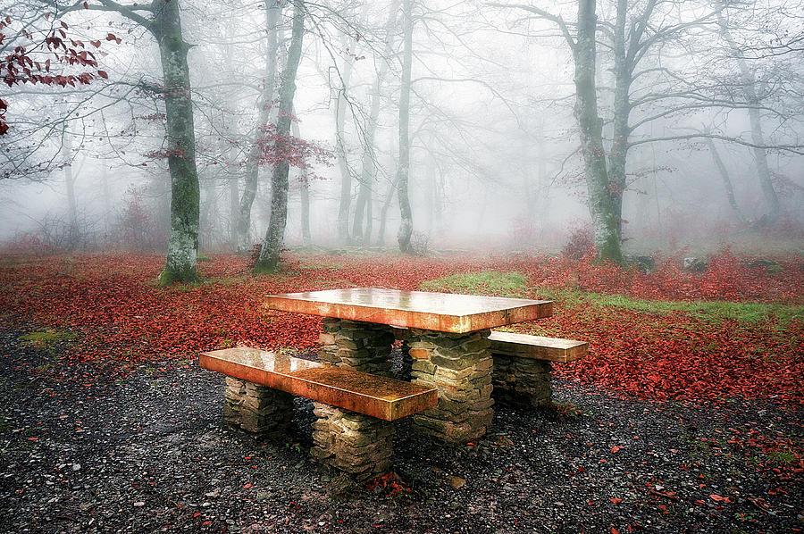Picnic of fog Photograph by Mikel Martinez de Osaba