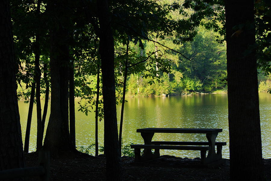 Summer Photograph - Picnic Table at the Lake by Angela Hansen