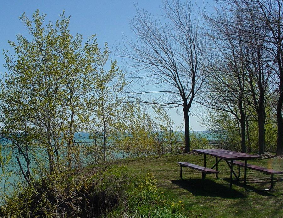 Picnic table by the Lake photo Photograph by Anita Burgermeister