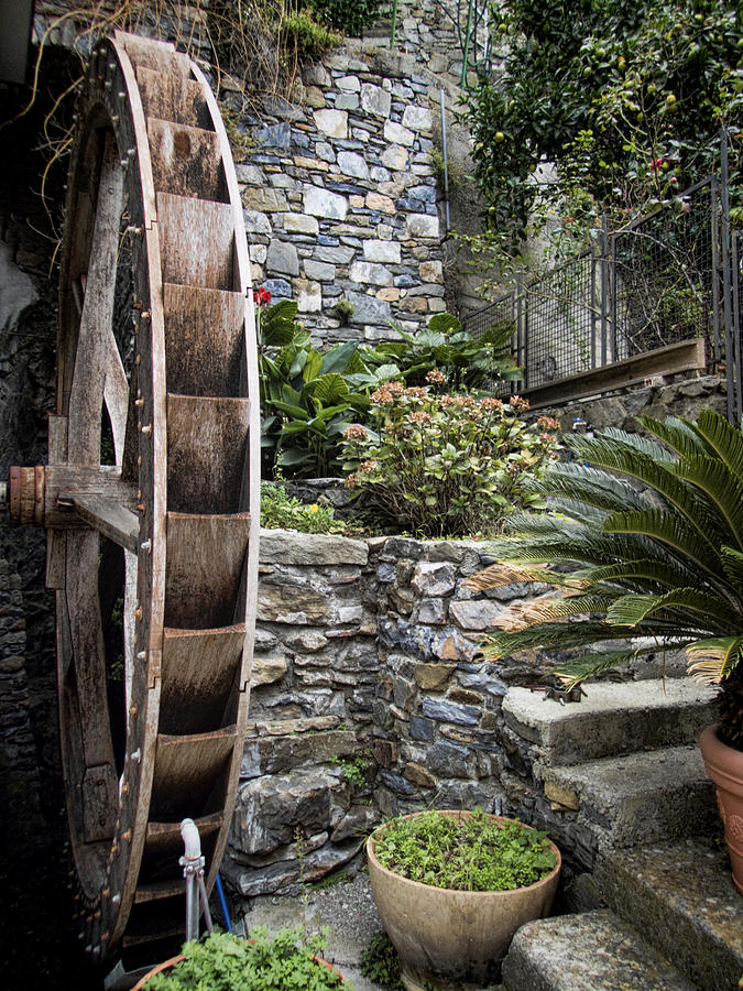 Pictueresque Waterwheel In Cinqueterre Garden Photograph
