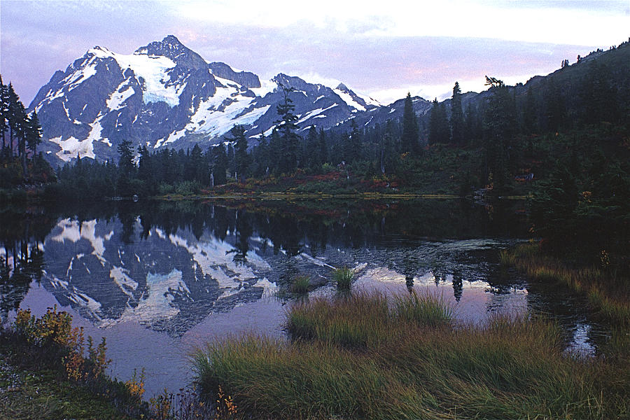 Picture Lake - Mt. Shuksan Photograph by Todd Kreuter