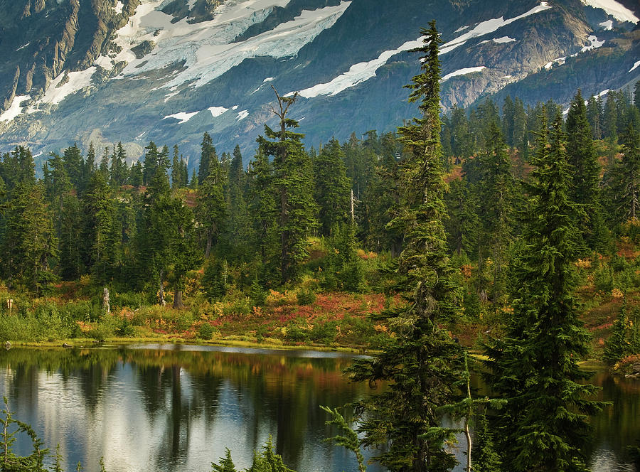 Picture Lake Vista Photograph by Mike Reid - Fine Art America