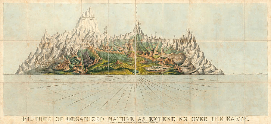 Picture Of Organized Nature As Extending Over The Earth - Geological Illustration - Old Atlas Drawing