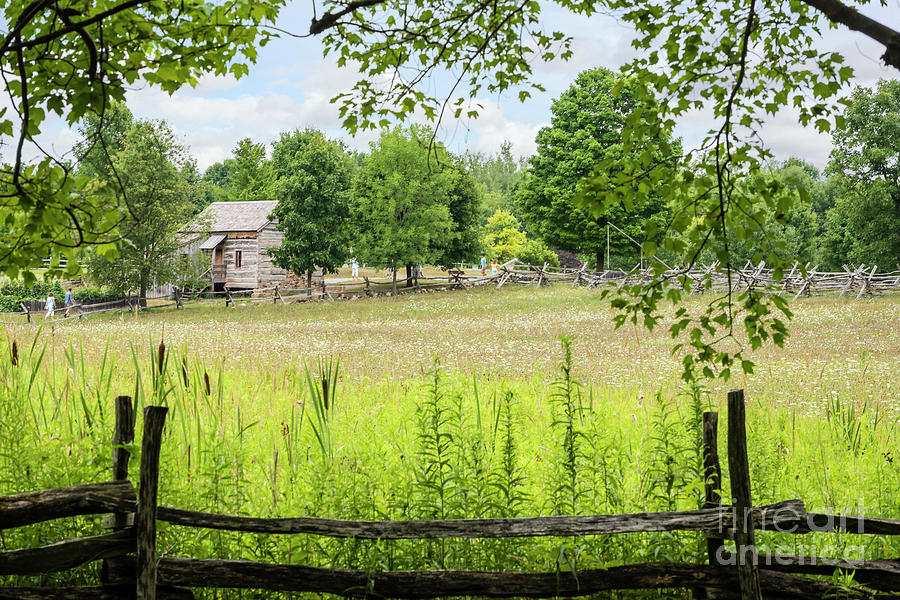 Picture Perfect Country Photograph by Joann Long