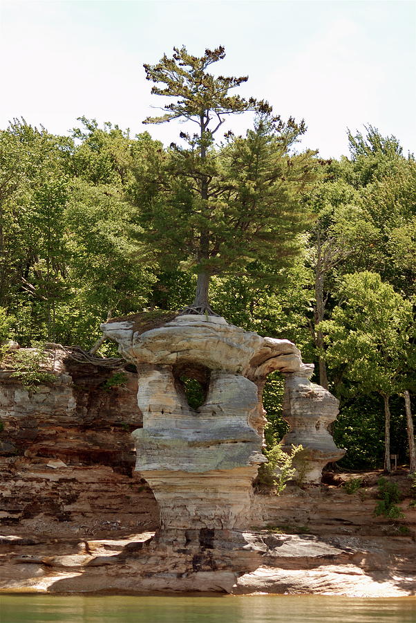 Pictured Rocks Tree Photograph by Michael Peychich