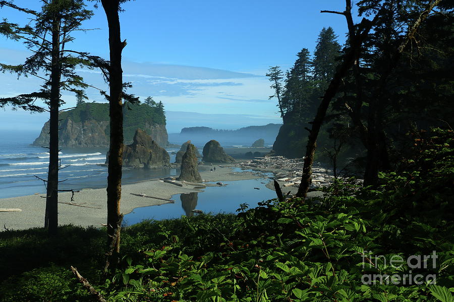 Picturesque Ruby Beach View Photograph by Christiane Schulze Art And Photography
