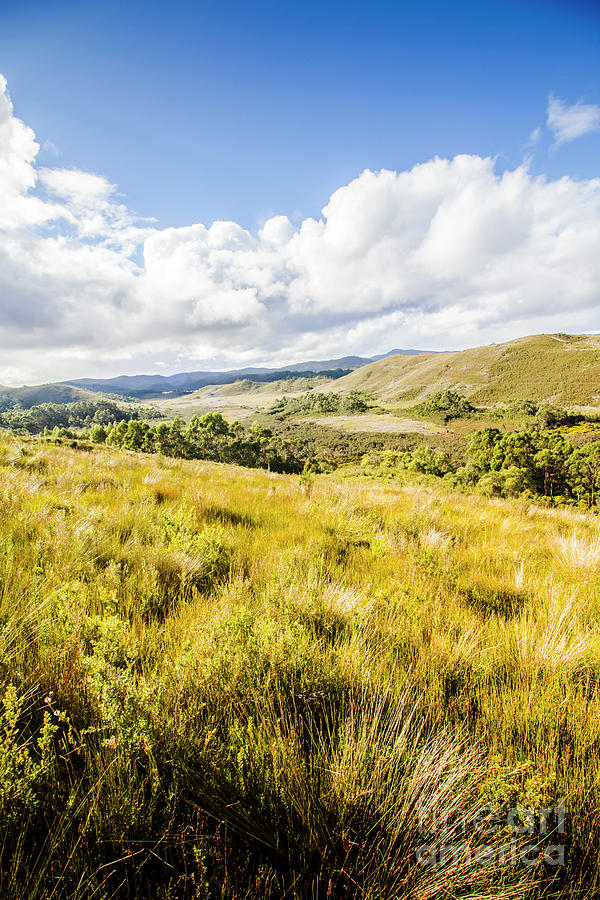 Picturesque tasmanian field landscape Photograph by Jorgo Photography