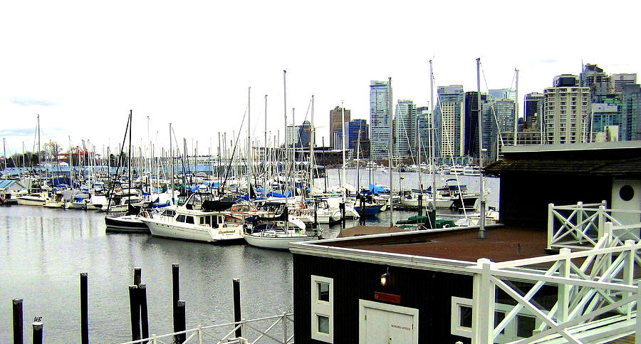Picturesque Vancouver Harbor Photograph by Will Borden