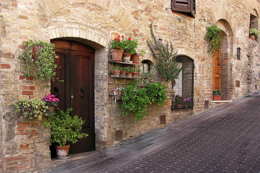 Pictursque Wall Garden San Gimignano Tuscany Italy Photograph by Lily Malor