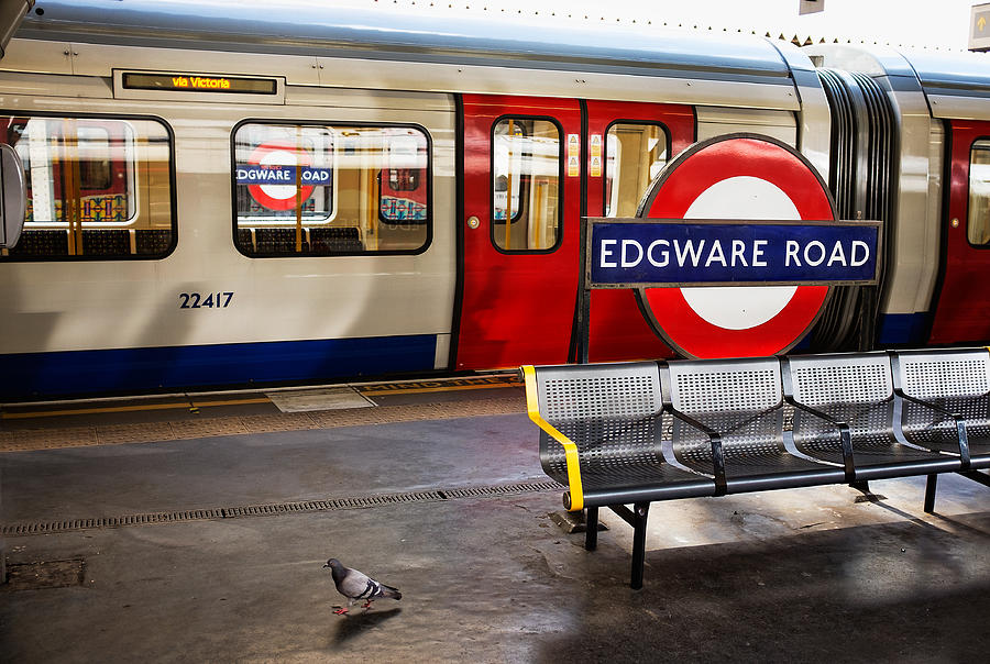 Pigeon at Edgware Road Photograph by James David Phenicie