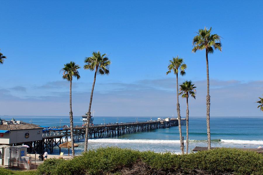 Pier and Palms Photograph by Brian Eberly
