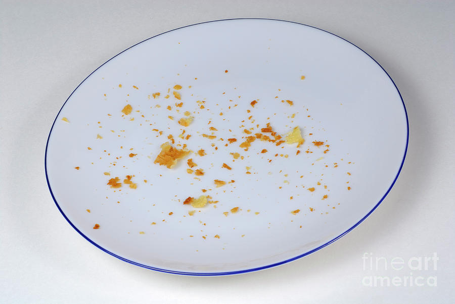 Pie crumbs in an empty plate Photograph by Sami Sarkis