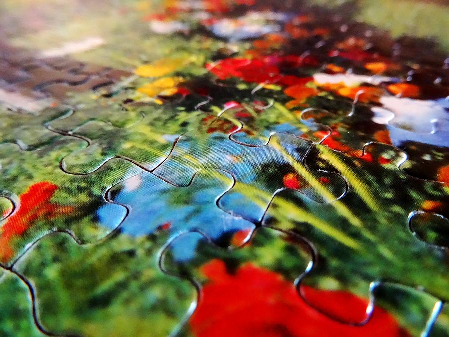 Puzzle Photograph - Pieces by Zinvolle Art