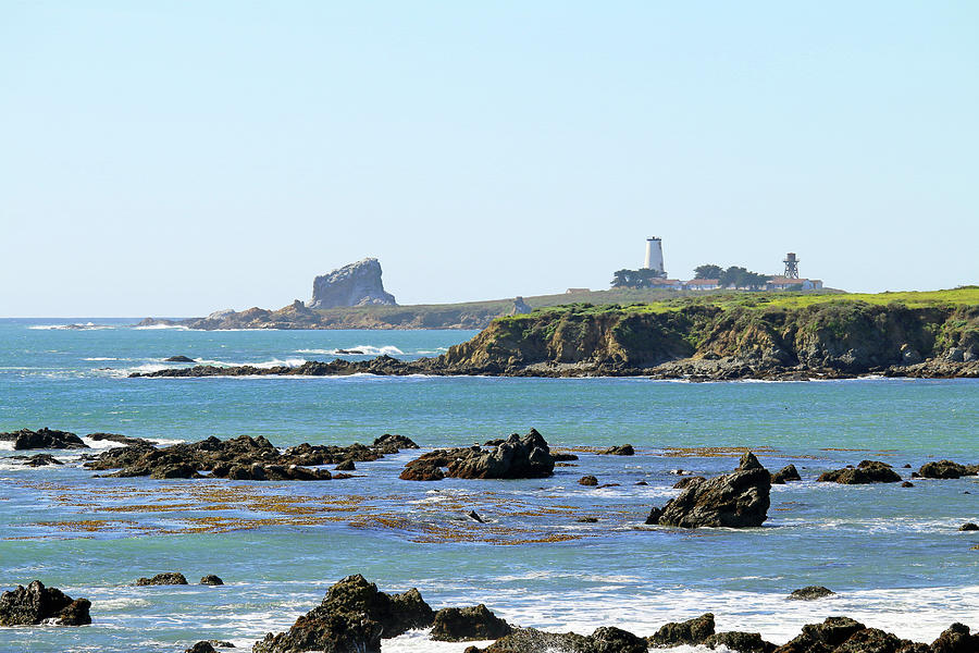 Piedras Blancas Lighthouse Photograph by Art Block Collections