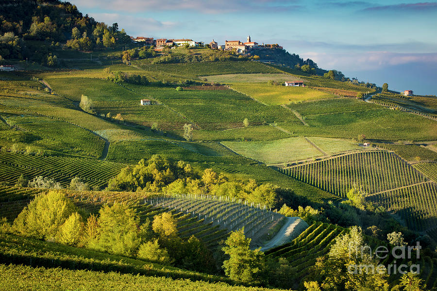 Piemonte Countryside Photograph by Brian Jannsen