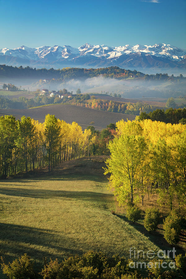 Piemonte Morning Photograph by Brian Jannsen