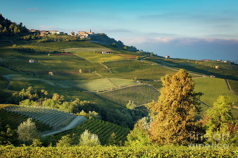 Fall Photograph - Piemonte View by Brian Jannsen