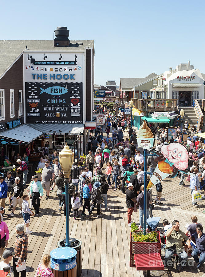 A Morning at Fisherman's Wharf and Pier 39 in San Francisco, USA