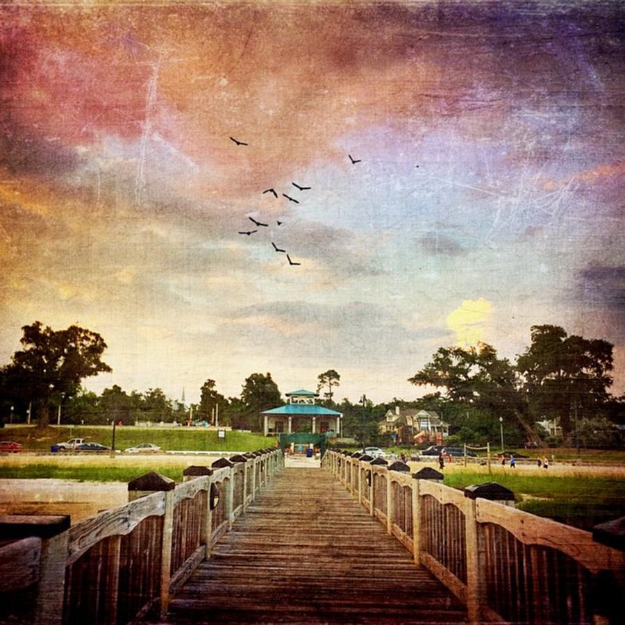 Beach Photograph - Pier And Park In Front Beach Created by Joan McCool