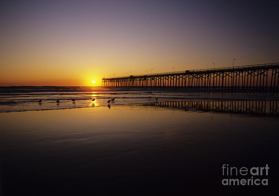 Seagull Photograph - Pier at Sunset by Bill Schildge - Printscapes