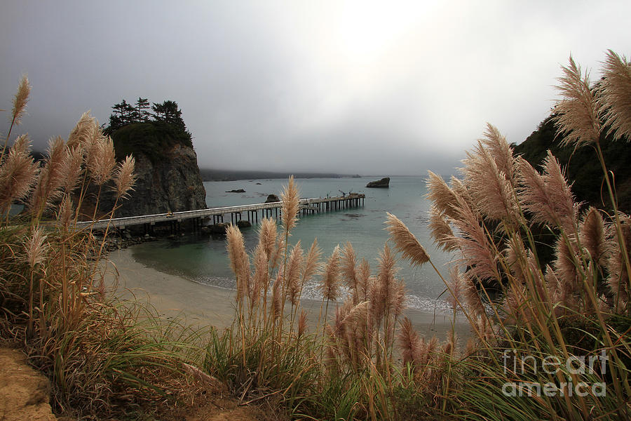 Pier Photograph - Pier at Trinidad Bay, Trinidad, CA  Oct. 5, 2015 by Monterey County Historical Society