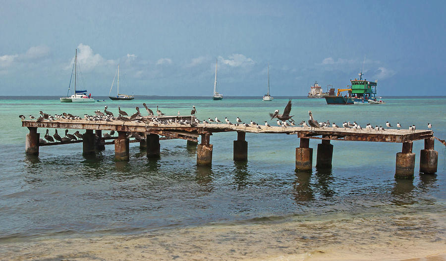 Pier for birds Photograph by Jean-Luc Baron
