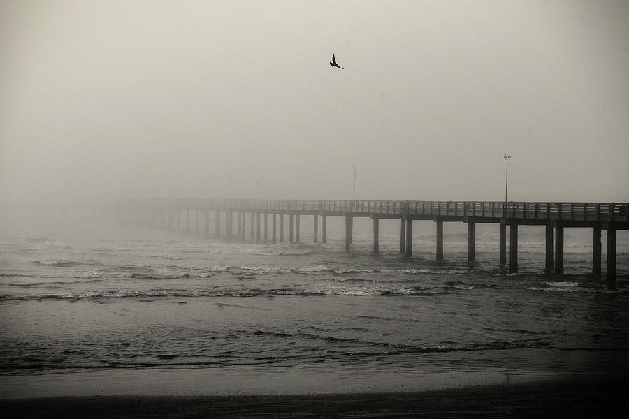 Black And White Photograph - Pier In Fog by Bud Simpson