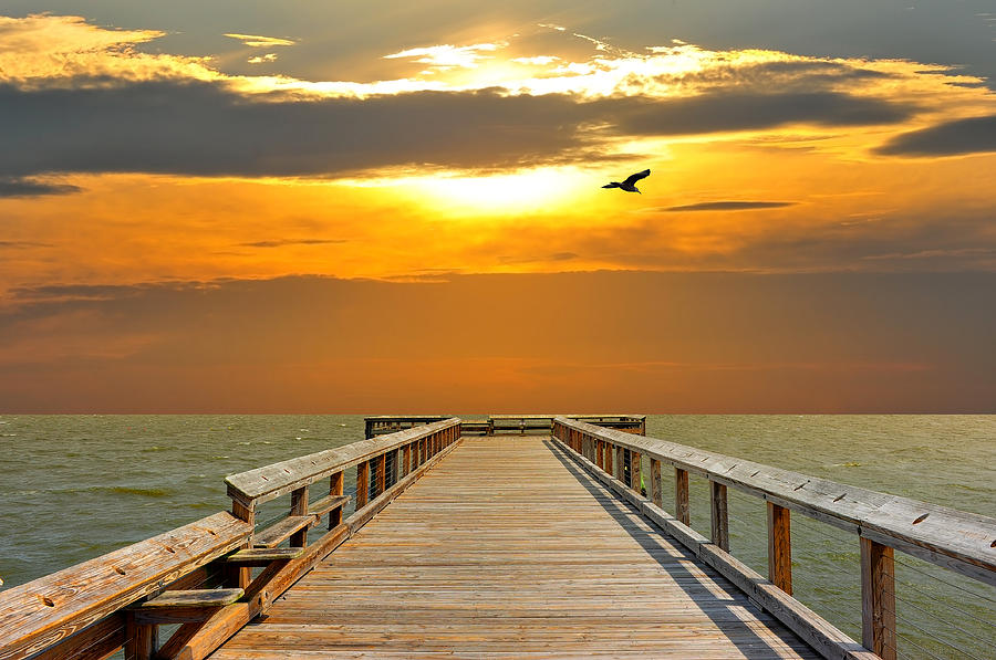 Pier into the sunset Photograph by Patrick Wolf