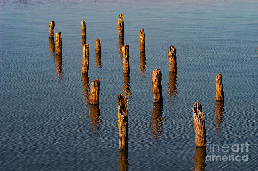 Nature Photograph - Pier Posts by Bob Phillips