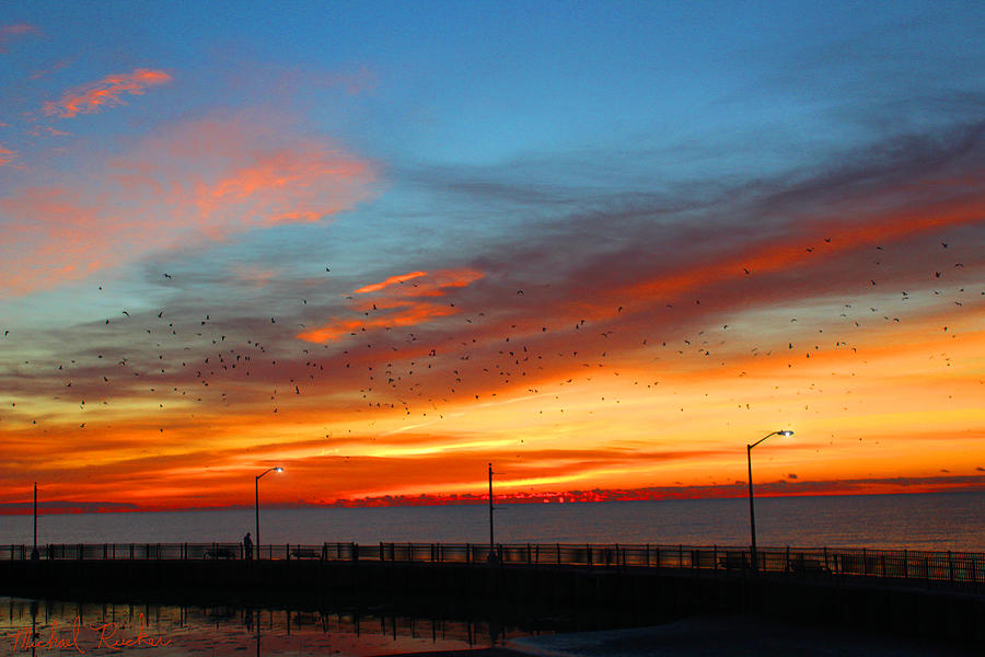 Bird Photograph - Pier Sunrise by Michael Rucker