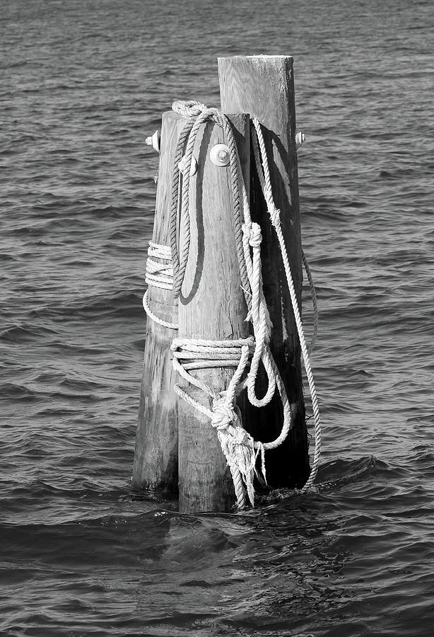 Pier Tie Up Photograph by Robert Wilder Jr