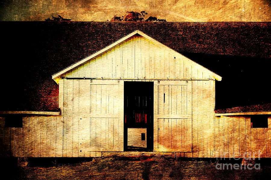 Pierce Point Ranch 9 . texture Photograph by Wingsdomain Art and Photography