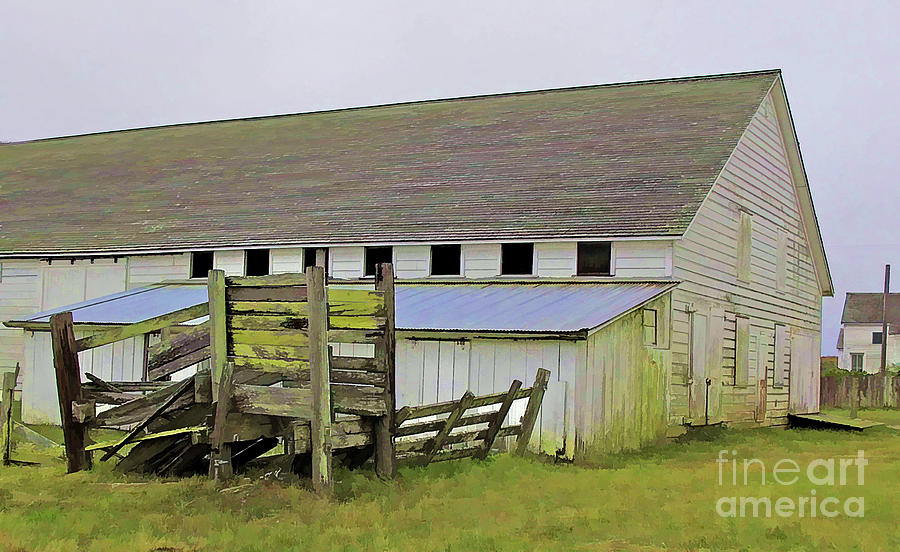 Pierce Pt. Ranch Barn Photograph by Joyce Creswell