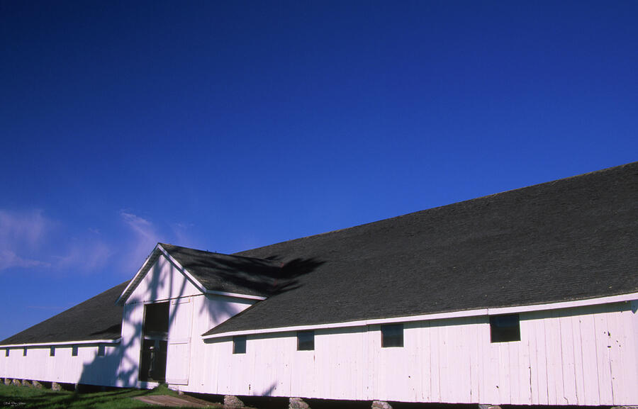 Pierce Ranch Photograph by Soli Deo Gloria Wilderness And Wildlife Photography Fine Art America