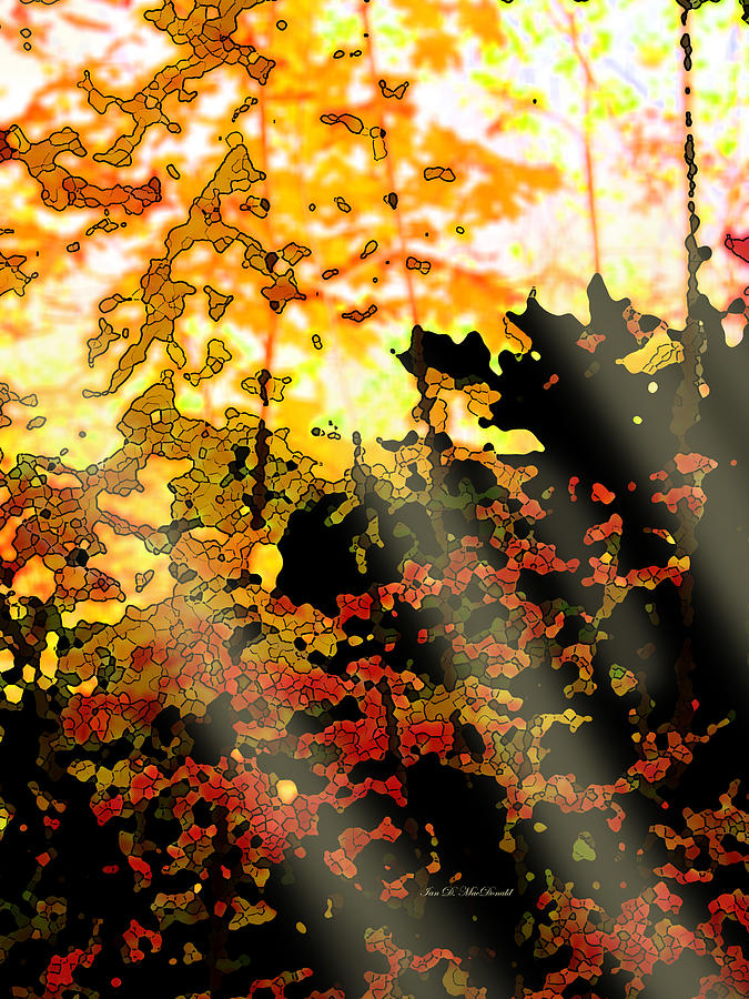 Piercing Autumn Sun Digital Art by Ian  MacDonald