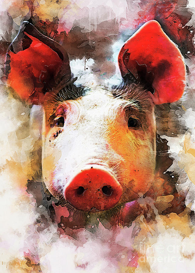 Pig Art Digital Art