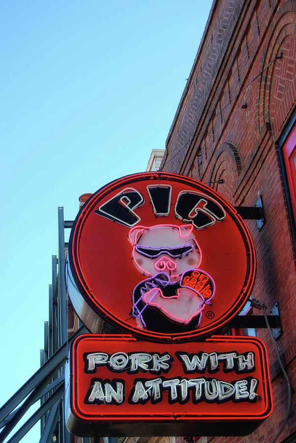 Pig On Beale Photograph by JAMART Photography