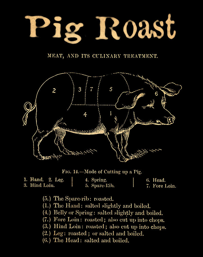 Pig Roast in Black Photograph by Bill Cannon - Fine Art America