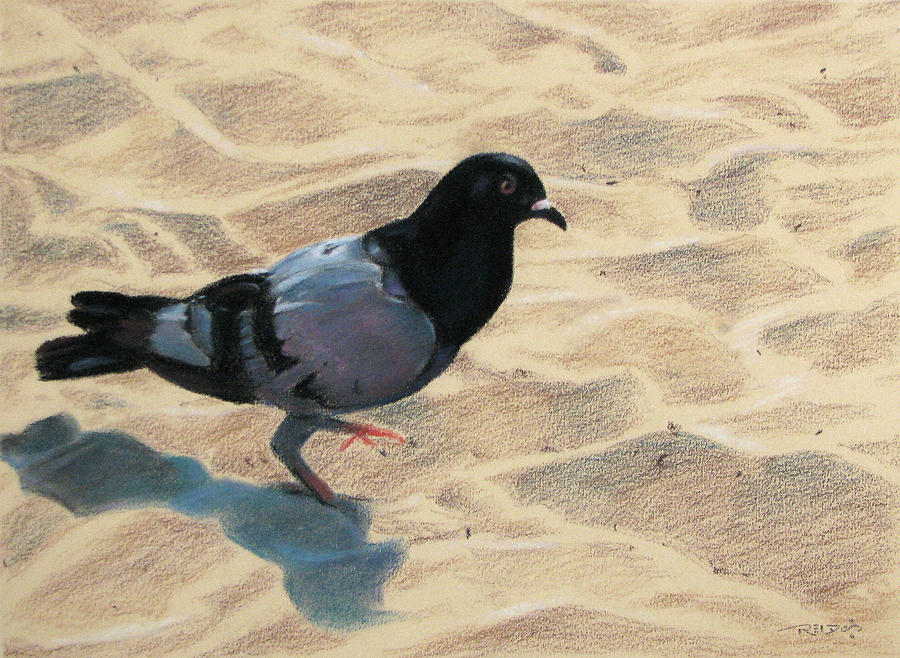 Pigeon Footed Pastel by Christopher Reid
