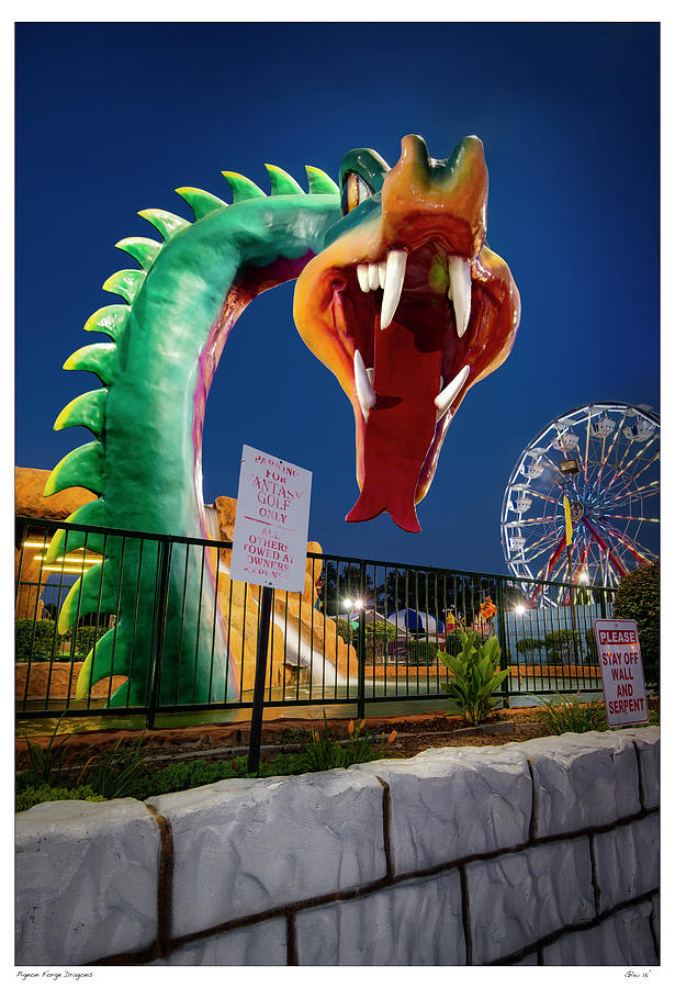 Pigeon Forge Dragon Photograph by Gary Warnimont