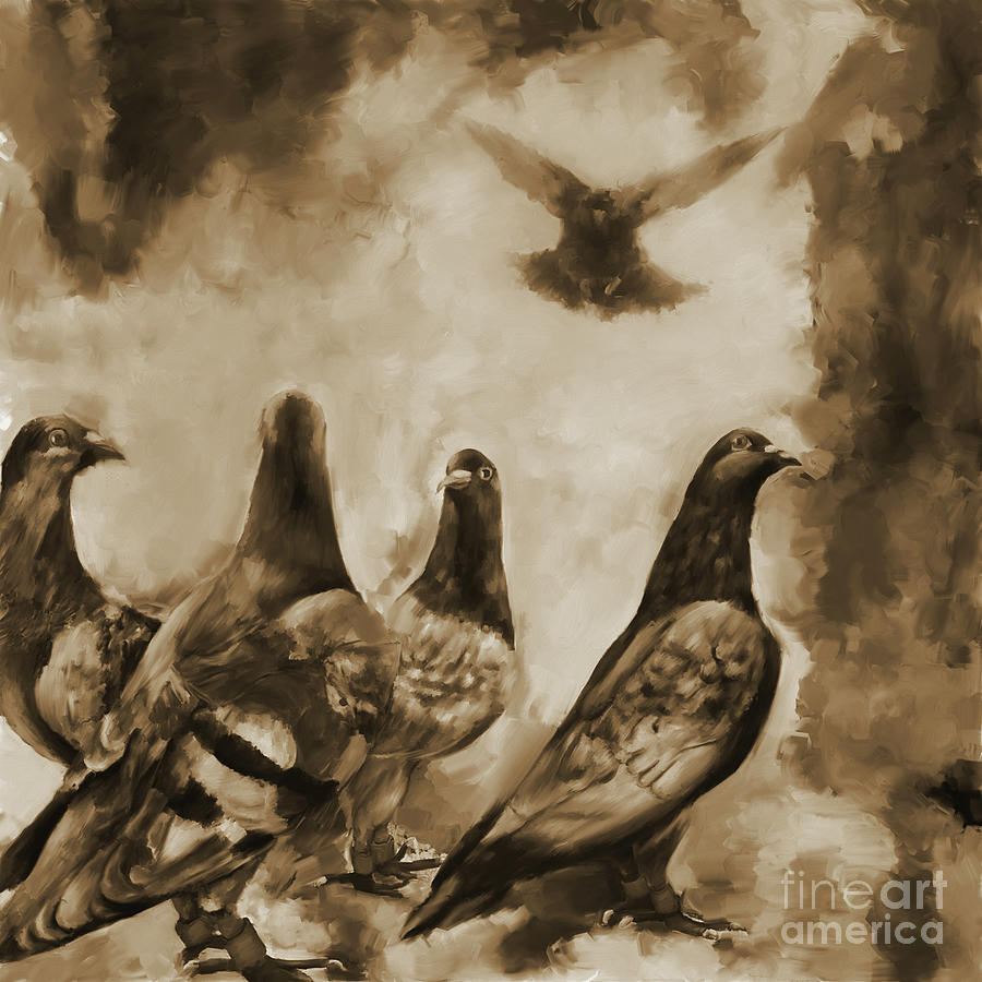 Pigeon  Painting by Gull G