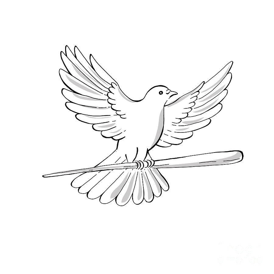 Premium Vector | Hand drawn pigeon in doodle style sketch. line art and  color. kids education.
