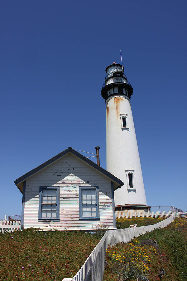 Pigeon Point Lighthouse and Hostel Photograph by Karen Ruhl