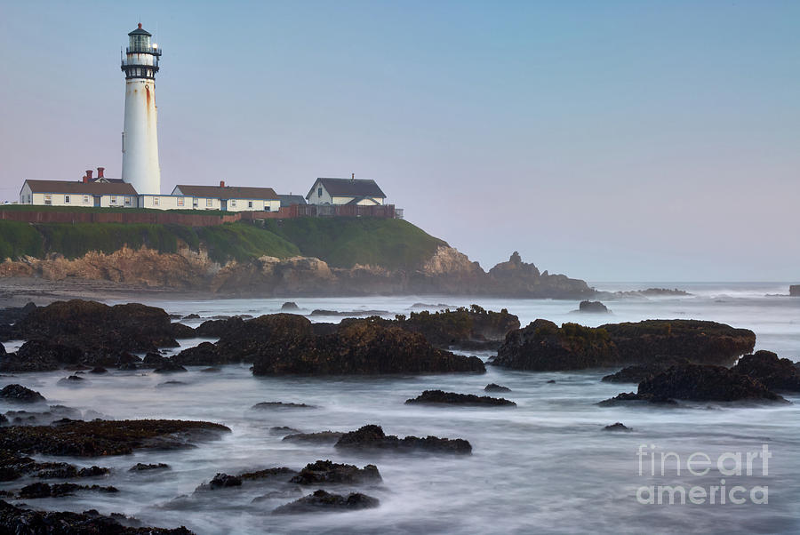 Pigeon Point Lighthouse at sunset with sea mist Photograph by Dean Birinyi