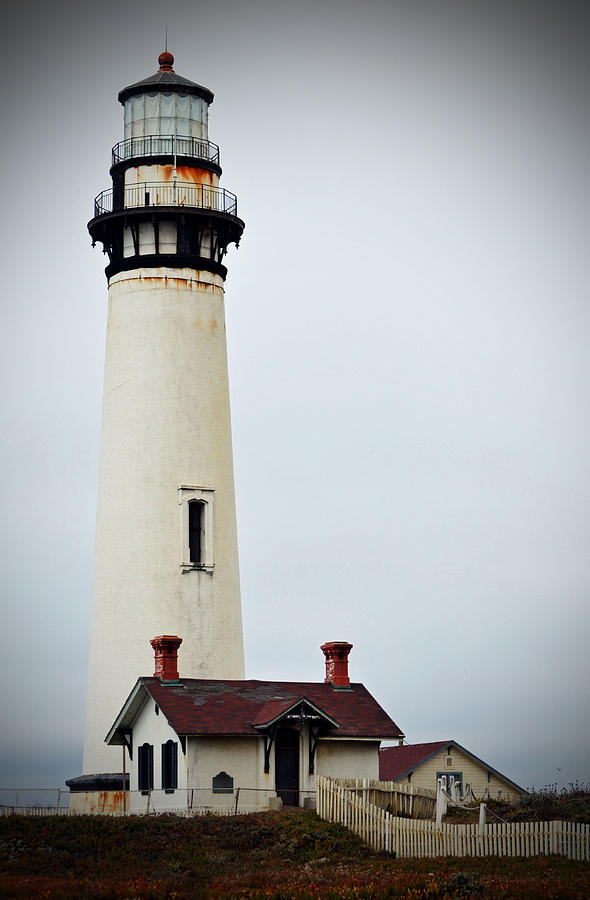 Lighthouse Photograph - Pigeon Point Lighthouse by Holly Blunkall