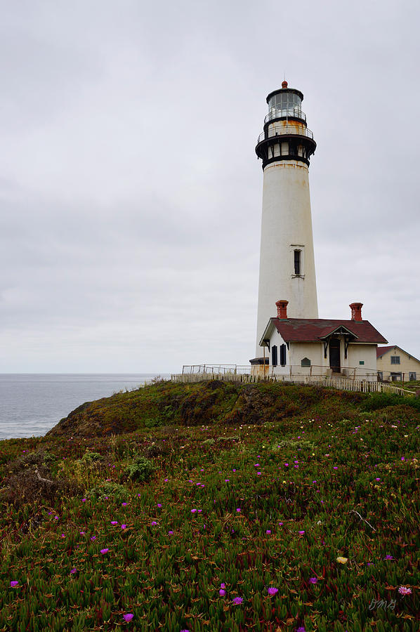 Nature Photograph - Pigeon Point Lighthouse II Color by David Gordon