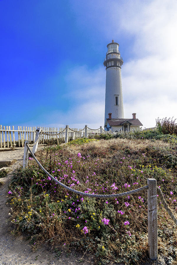 Pigeon Point Lighthouse Photograph by Janet Kopper