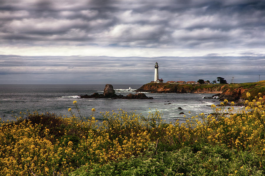 Pigeon Point Lighthouse Photograph by John K Sampson