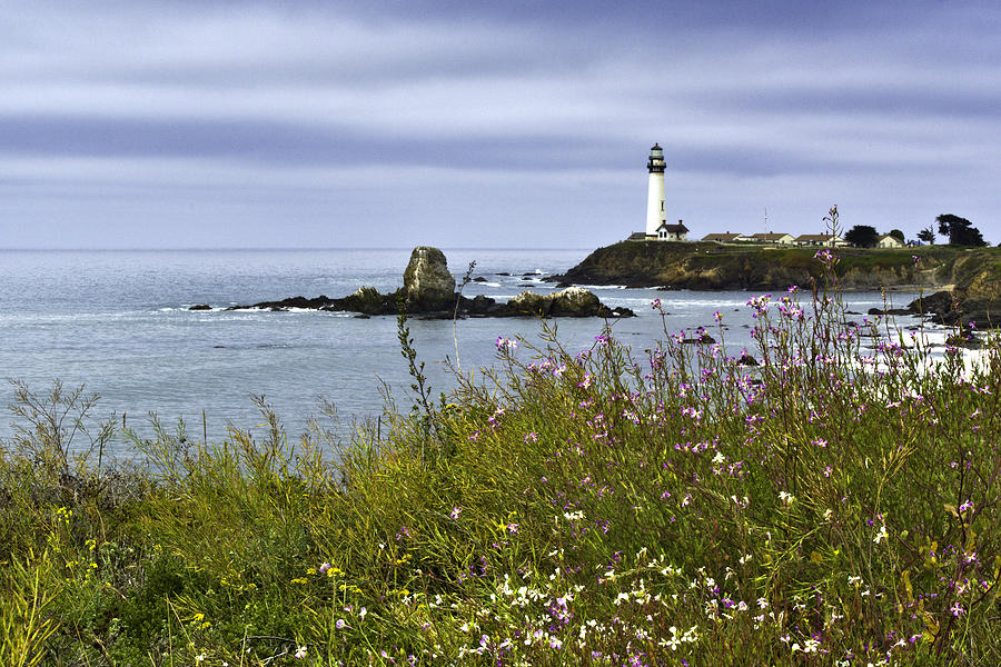 Pigeon Point Lighthouse 1 Photograph by Paul Riedinger